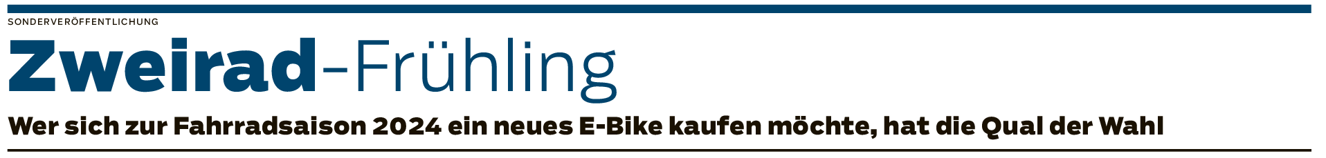 Die neuen E-Bike-Trends