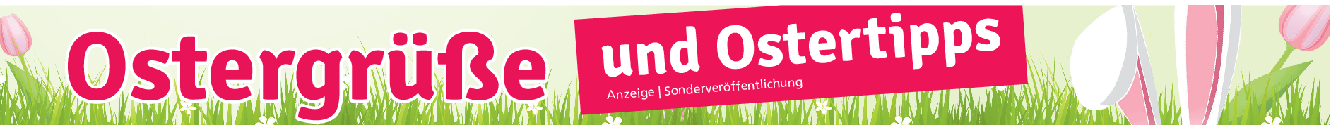Funklautsprecher auf der Überholspur