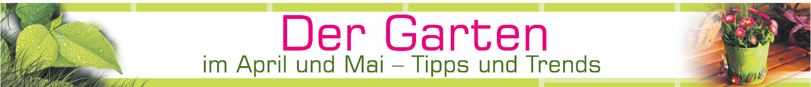 Das tägliche Gießen sparen
