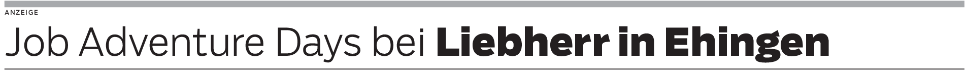 Liebherr in Ehingen: In die Zukunft starten