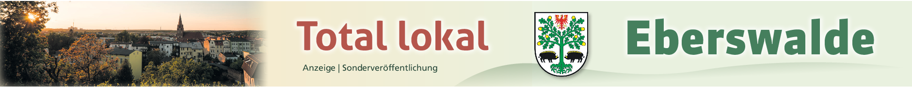 Elektromeister Leik-Kilian Valkai aus Eberswalde klärt auf