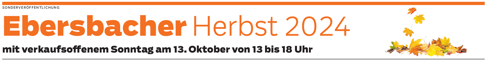 Ein Fest für die ganze Familie in Ebersbach