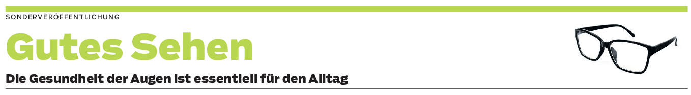 Die Augen im Fokus