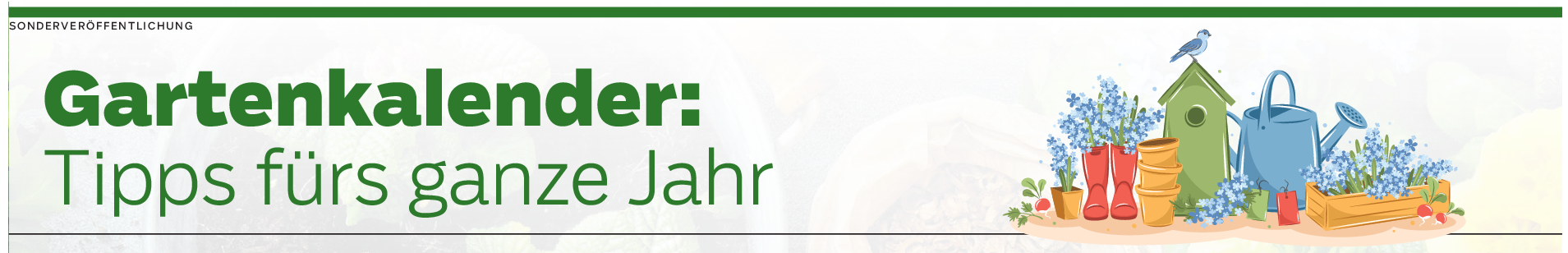 Gartenkalender: Tipps fürs ganze Jahr