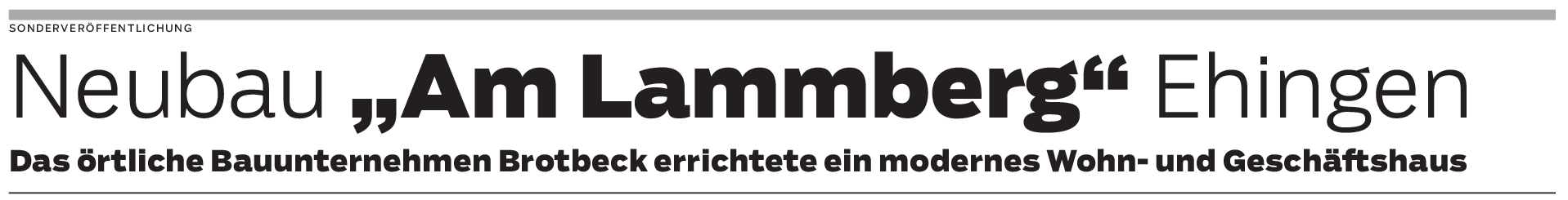Aufwertung der Ehinger Innenstadt