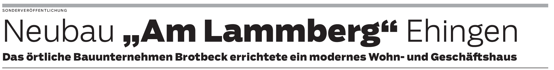 Neubau "Am Lammberg" Ehingen