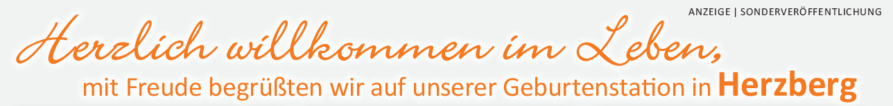 Kombi-Kinderwagen geprüft