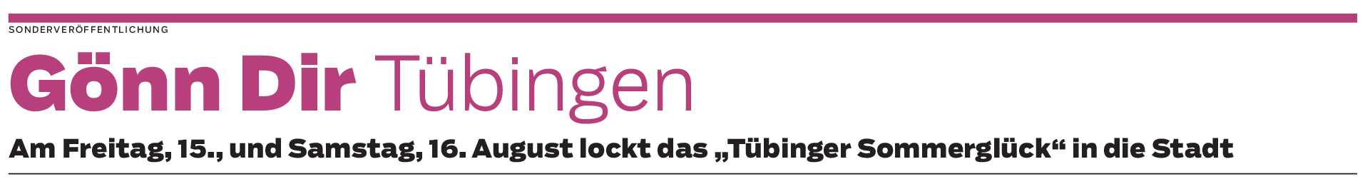 Tübinger Sommerglück