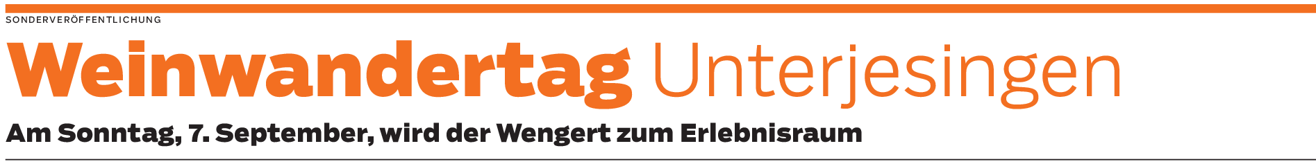 Weinwandertrag in Unterjesingen: Ein Tag mit Wein, Wandern und Genuss