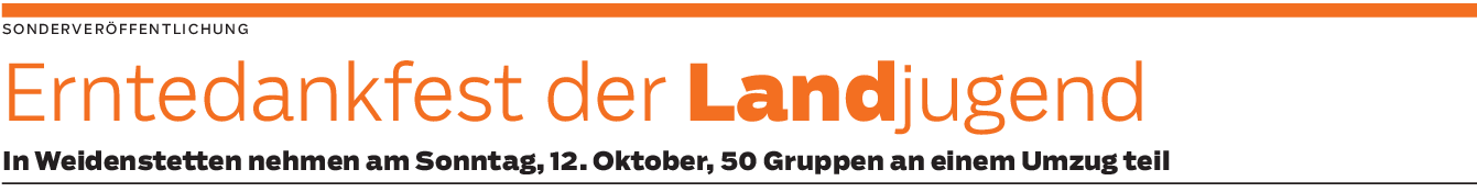 Weidenstetten: Buntes Programm