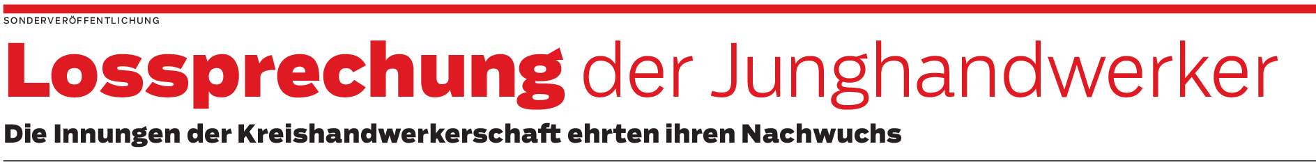Grußwort von Landrat Dr. Hendrik Bednarz