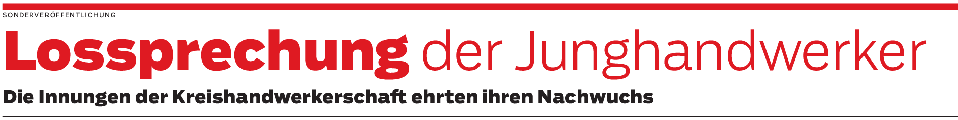 Neue Handwerksgesellen im Landkreis Tübingen losgesprochen