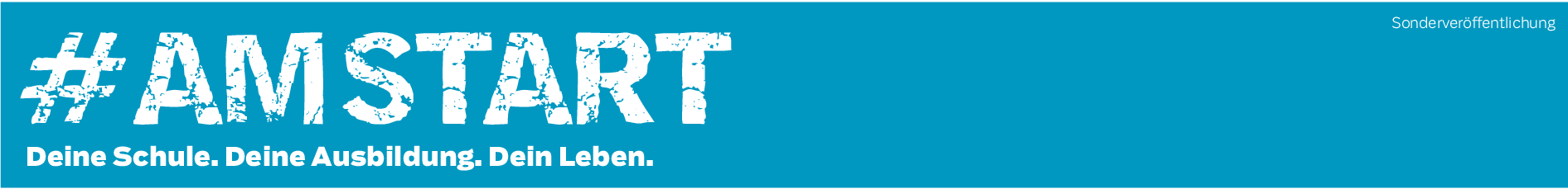 Studium oder Ausbildung?