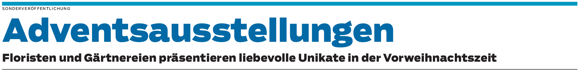 Vier schöne Pflanzen für den Advent