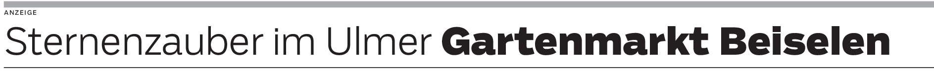 Gartenmarkt Beiselen in Ulm: Schönes für Adventszeit