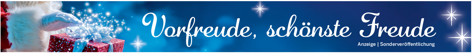 Senftenberg im Weihnachtsfieber