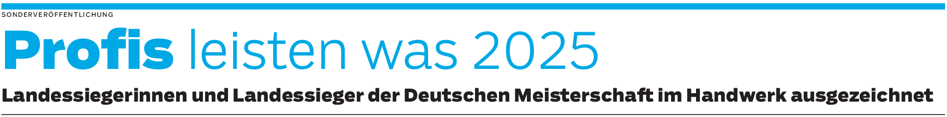 Deutsche Meisterschaft im Handwerk