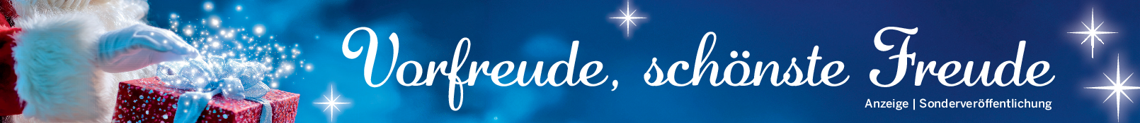 Weihnachten im Senftenberger Schloss