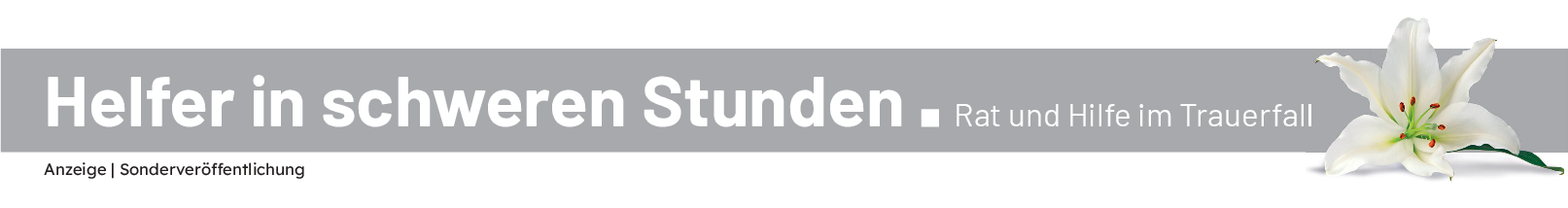 Friedhöfe der Zukunft