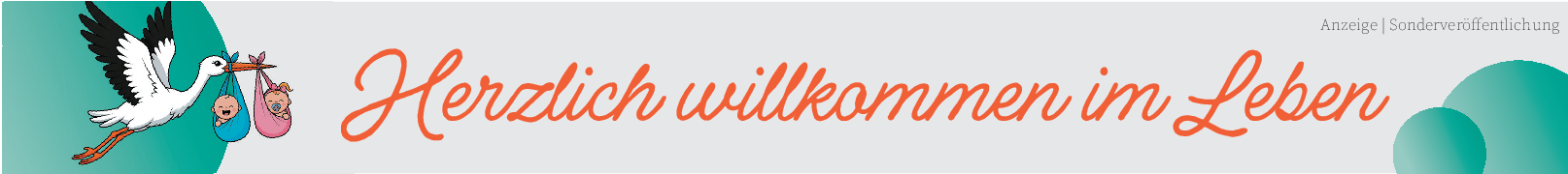 Pre-, Anfangs- oder Folgenahrung