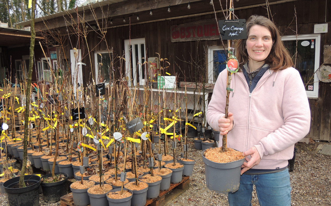 Frühling ist Pflanzzeit Kieler Nachrichten