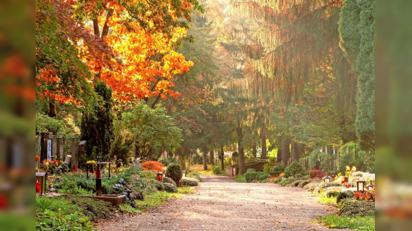 Das Totengedenken parallel zur sterbenden Natur im Herbst