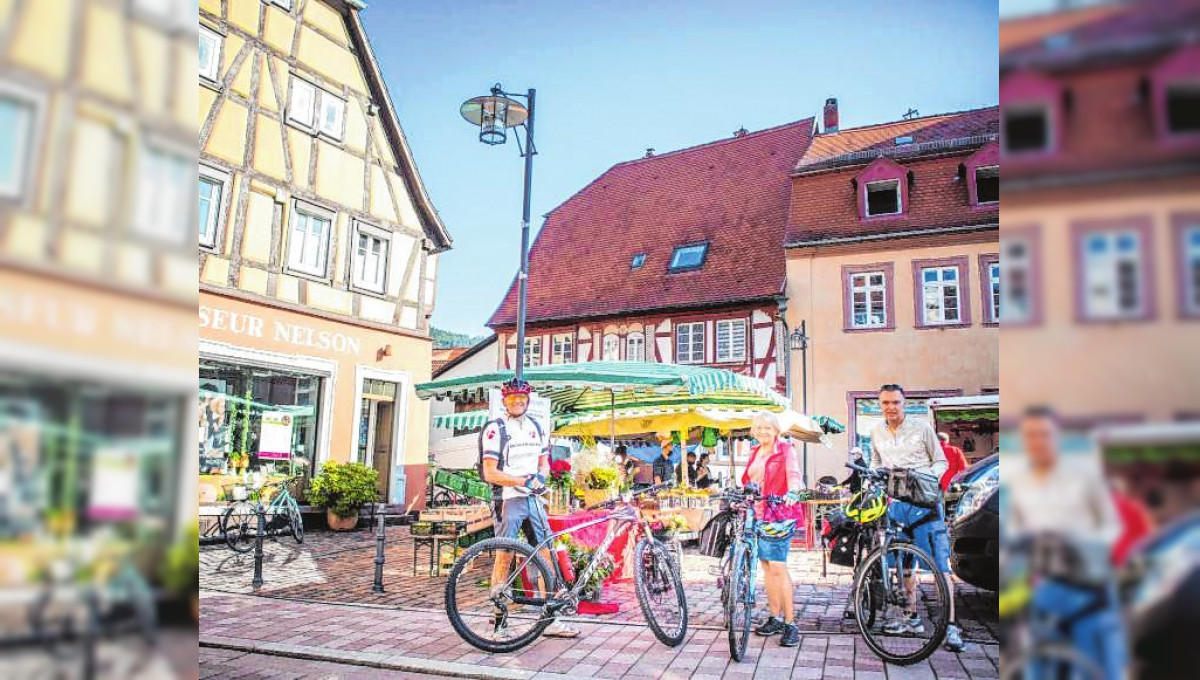 Rad- und Wanderparadies am Neckar