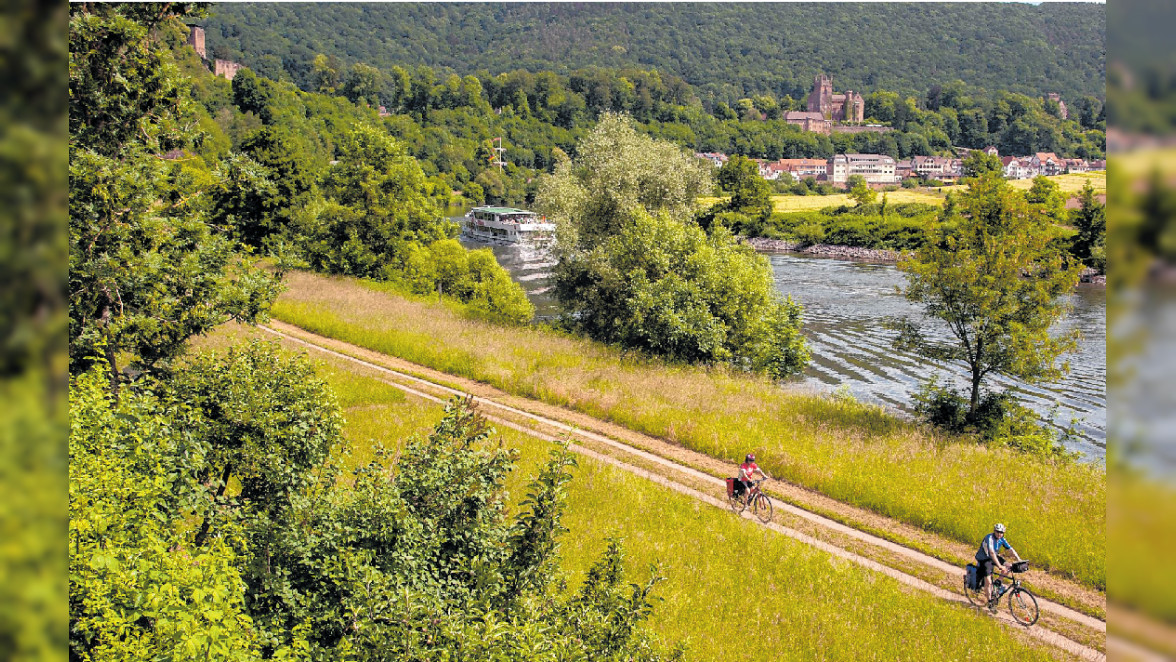 In Neckarsteinach warten entlang des Flusses gleich vier Burgen auf Radlerinnen und Radler. BILD: PICTURE ALLIANCE/DPA/BURGENSTRASSE E.V.