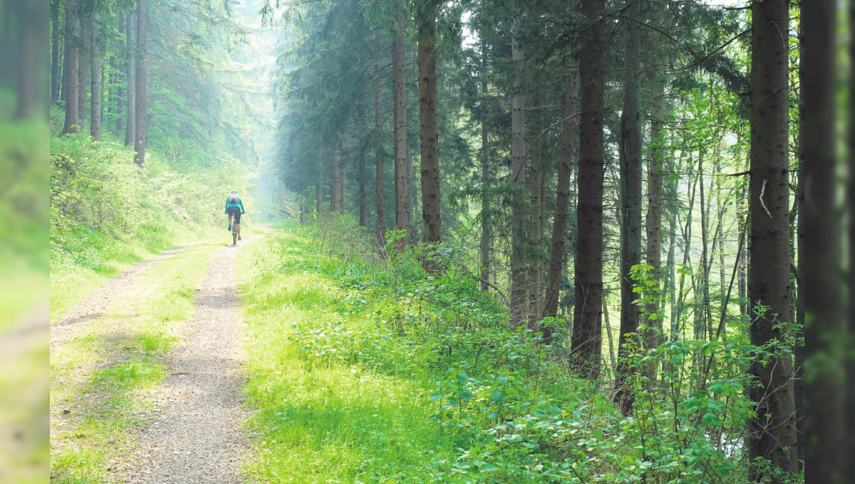 Hecken, Heide, Höhenblicke 