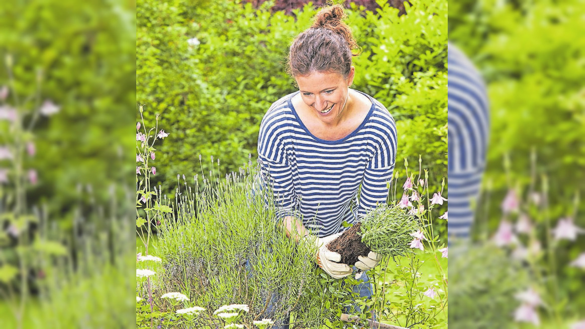 Auch ein kleiner Garten kann entzücken