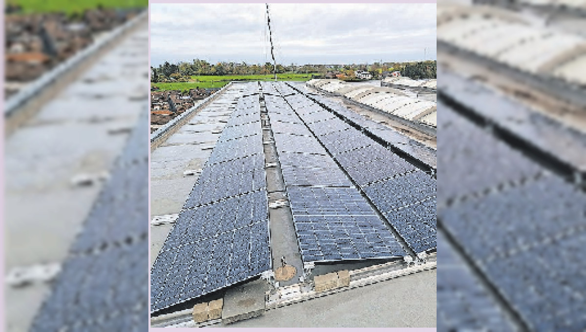 Zeichen stehen auf grünem Strom