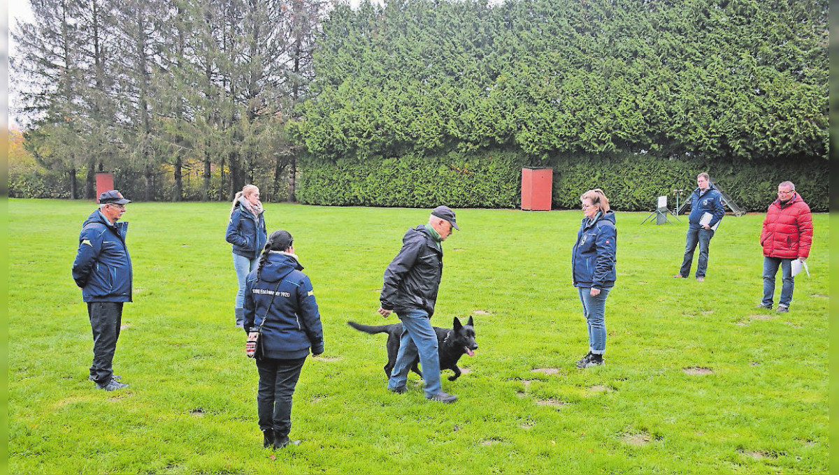 Schäferhund Verein Eschweiler: Drei neue Begleithunde 