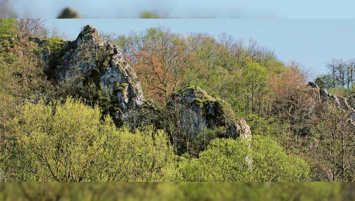 Besichtigung : Die Avouerie in Anthisnes