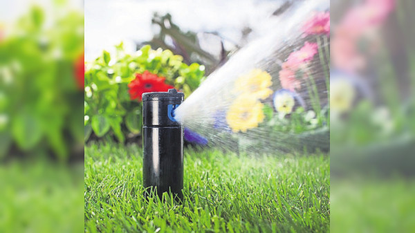 Wasser marsch im Garten