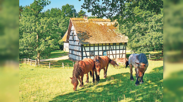 LVR-Freilichtmuseum Kommern: Raus ins Museum