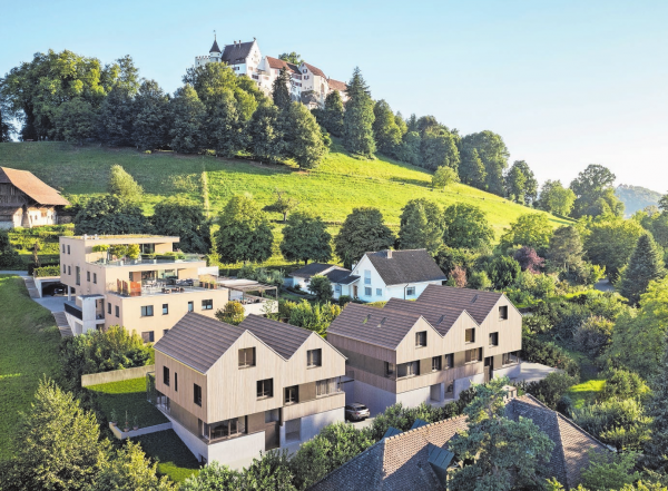 Holzarchitektur mit Schlosssicht