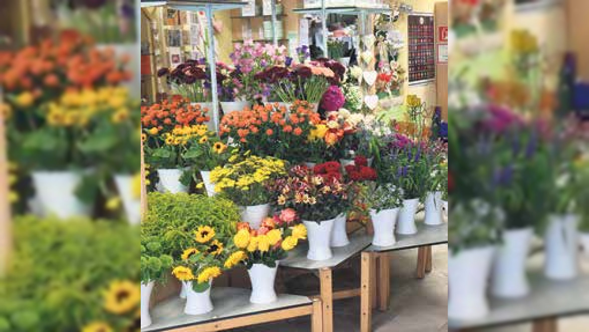 WUNDERSCHÖN IM SOMMER Kleine und große Sträuẞe werten jeden Raum auf. Bringen Sie Farbe in Ihre Räume! In Karins Blumenladen finden Sie Blumen, die farblich perfekt zu der Einrichtung Ihres Zuhauses passen.