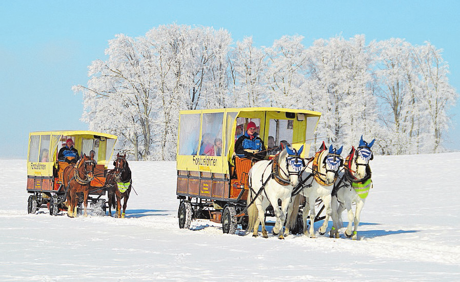 Tagesausflüge im Winter