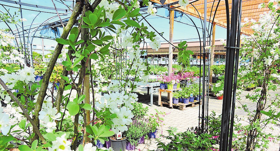 Gartencenter in Keswil: Blühender Traum