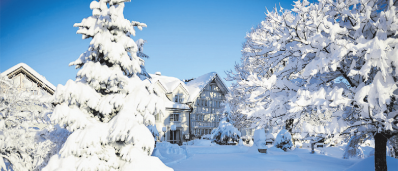 Winterlicher Wolfi-Zmorgen und Wolfi Brunch Box für Zuhause