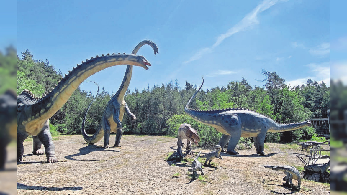 Dinosaurier-Park Münchehagen: Diplodocus im Körperlänge