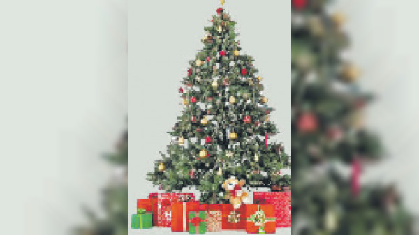 Der Zauber von Weihnachten