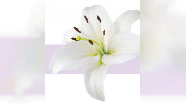 Selbstbestimmung festhalten, Angehörige entlasten