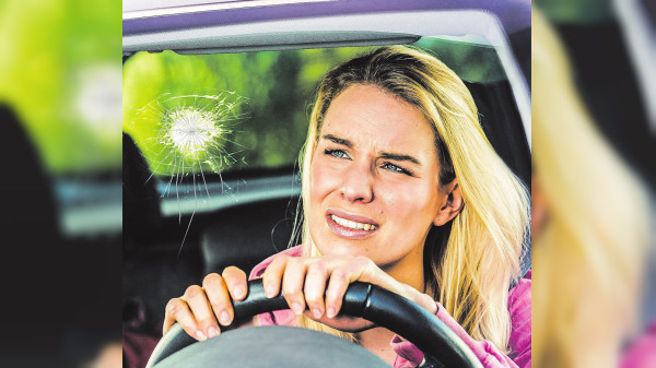 Voller Durchblick für Fahrer und Technik