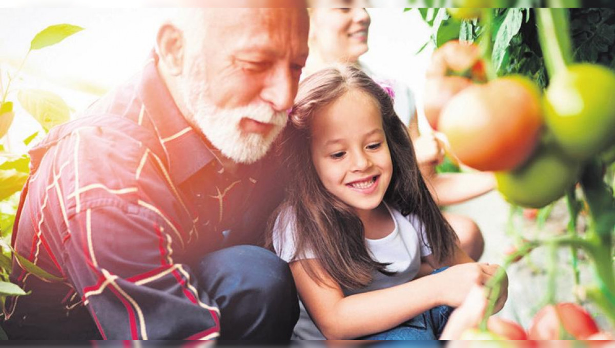 Gesund beginnt im Mund – Mahlzeit!