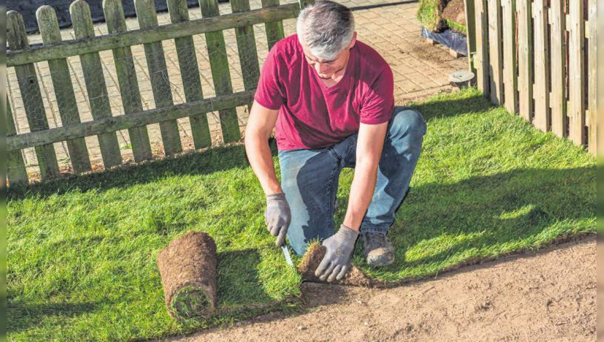 Neuer Rasen im Handumdrehen verlegt