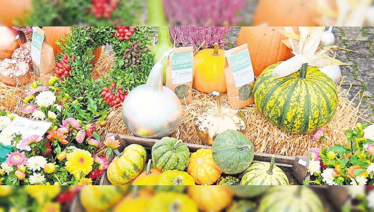 Buntes Treiben auf dem Messegelände