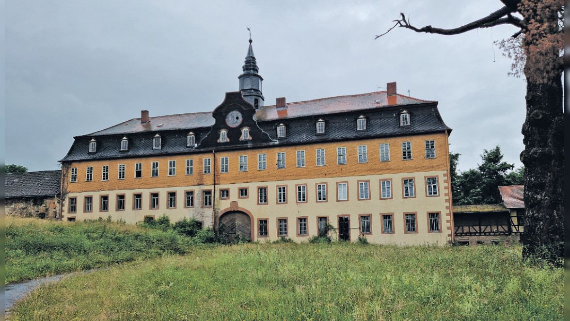 Natur pur am Südbahnradweg