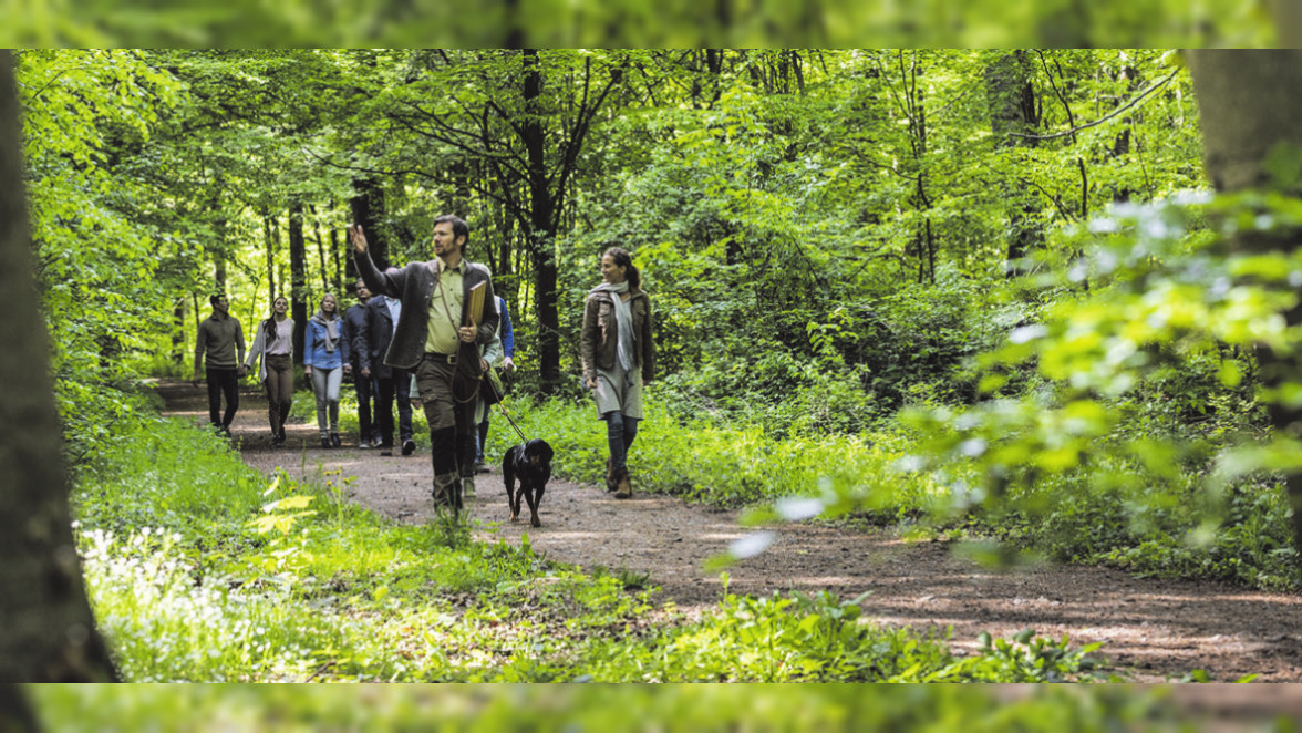 Geführter Spaziergang durch den Friedwald Gelnhausen