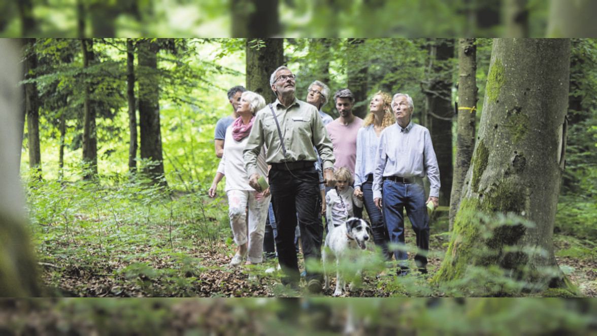 Waldführung: Gemeinsam den FriedWald Gelnhausen erleben